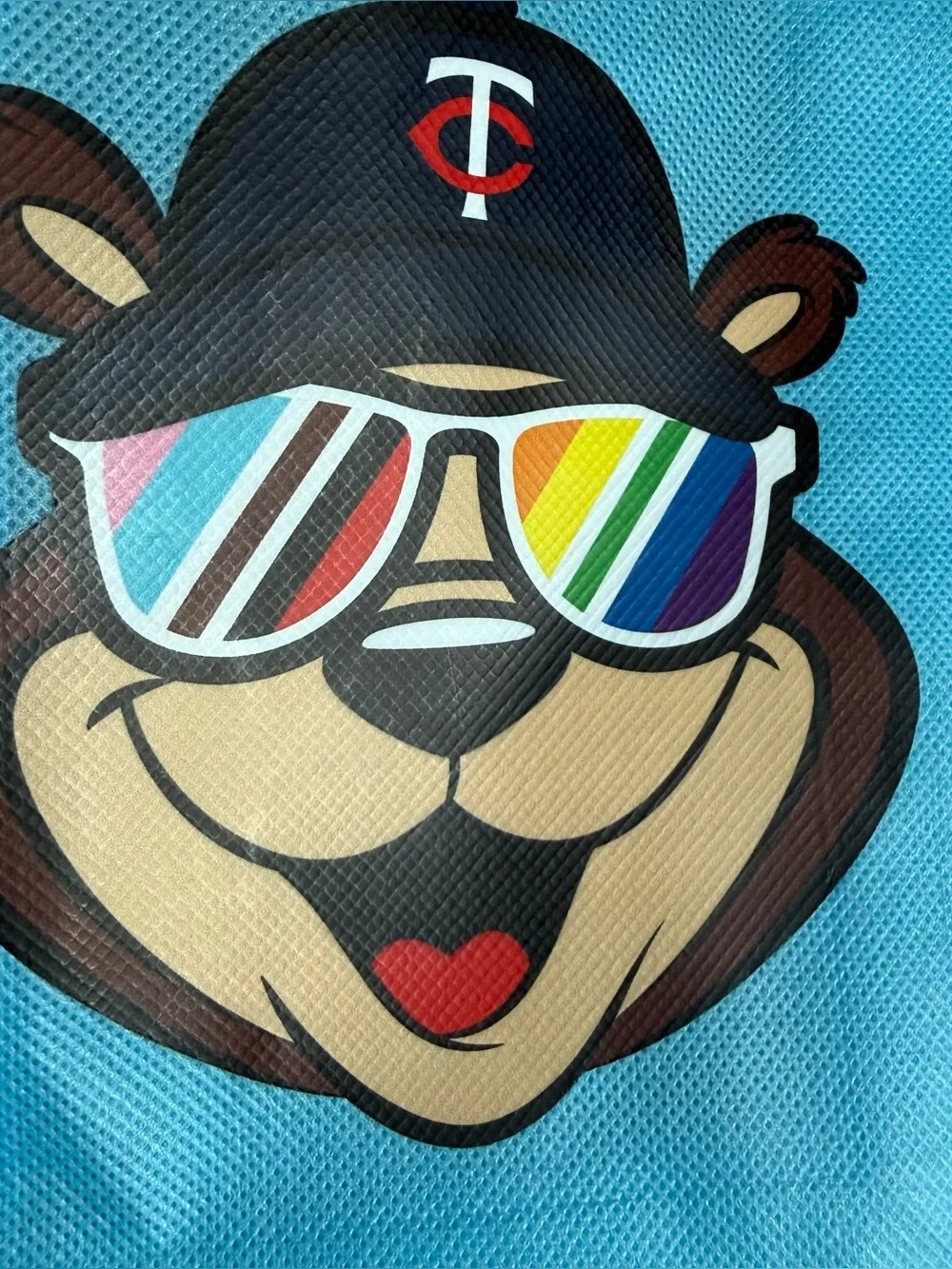 MLB Minnesota Twins Pride Reusable Bag